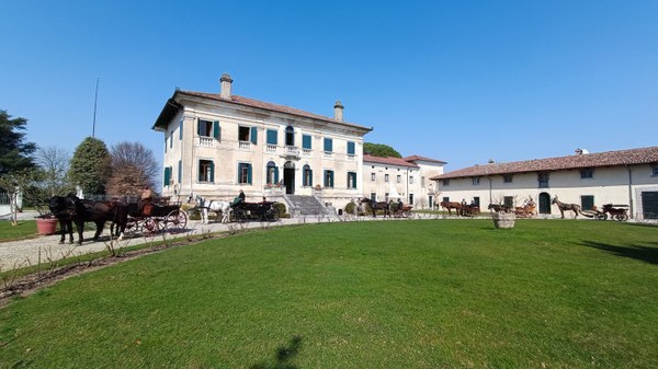 Festa di San Giuseppe _3